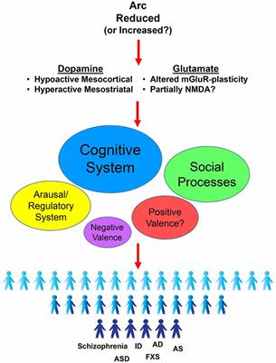 Schizophrenia: What’s Arc Got to Do with It?